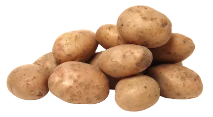  POMME DE TERRE NOUVELLE FRANCE 2,5 KG