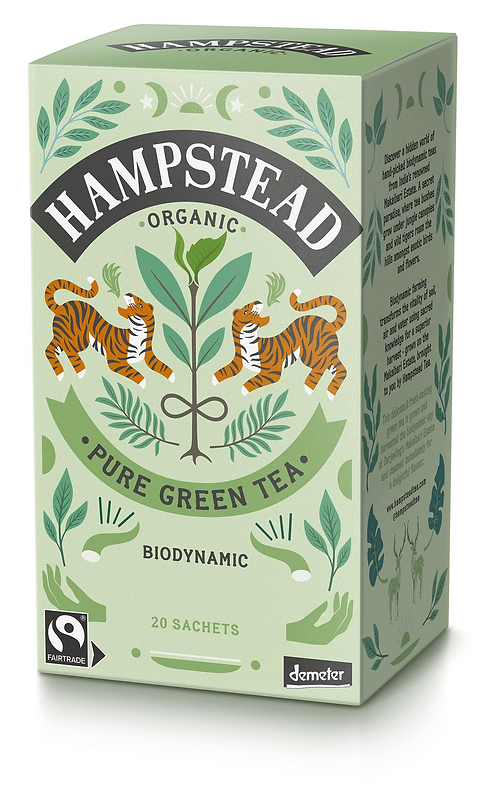 HAMPSTEAD THÉ VERT BIO 20 SACHETS