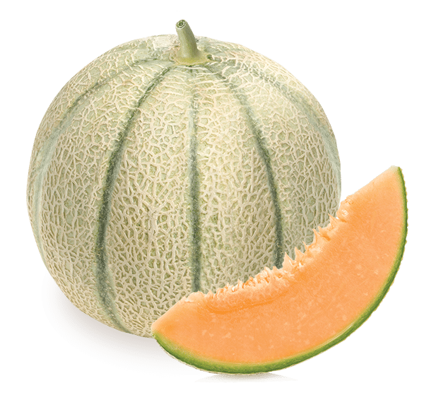  MELON CHARENTAIS PAR PIÈCE