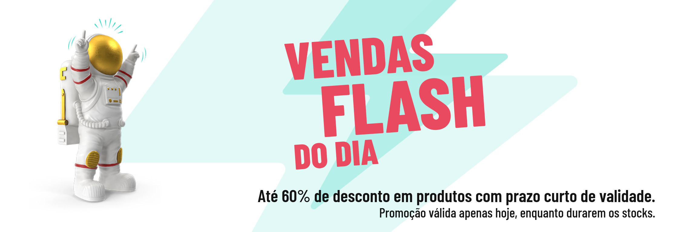 Landing ventes flash copy-Bannière Landing Page 2
