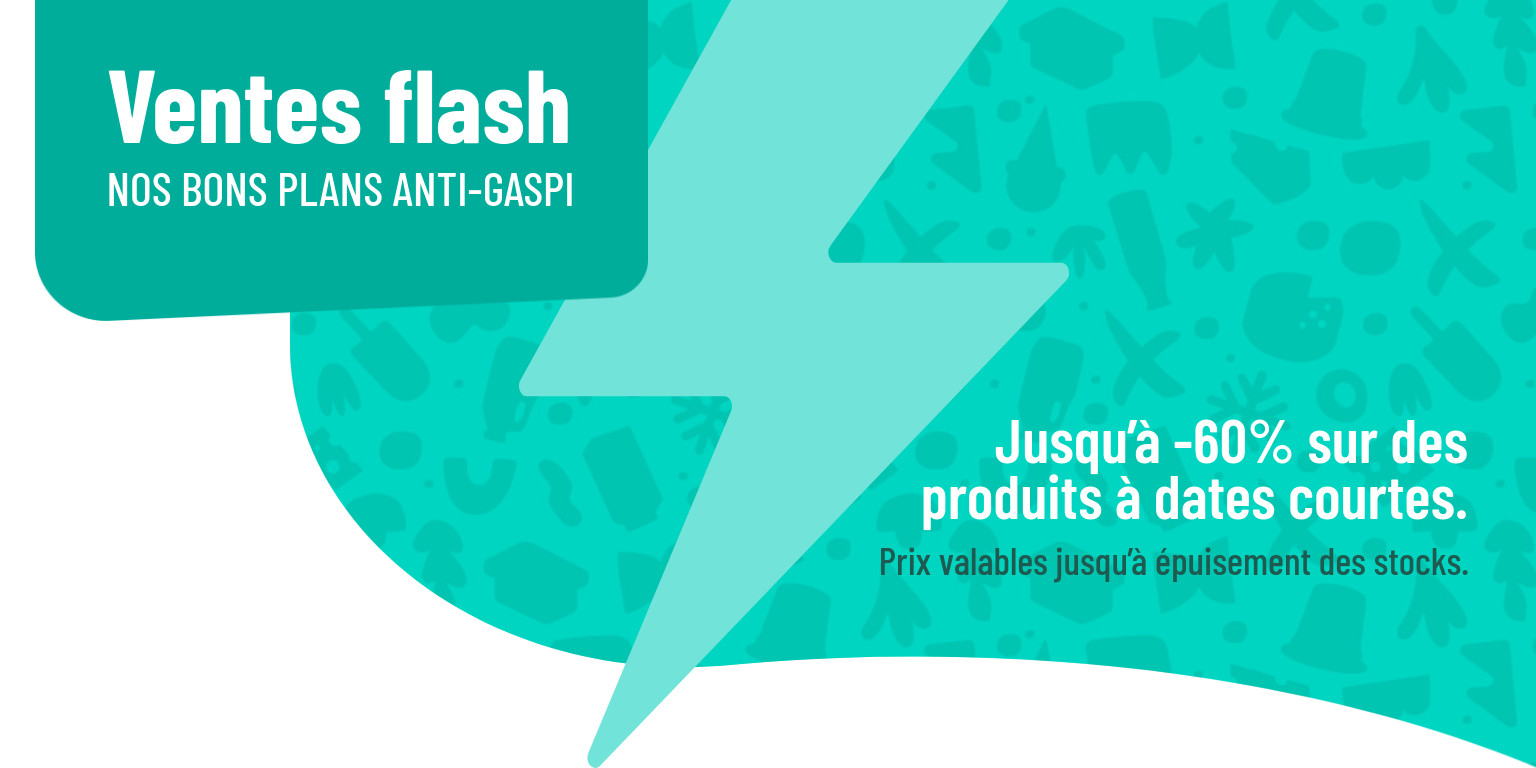 Landing ventes flash-Bannière Landing Page 1