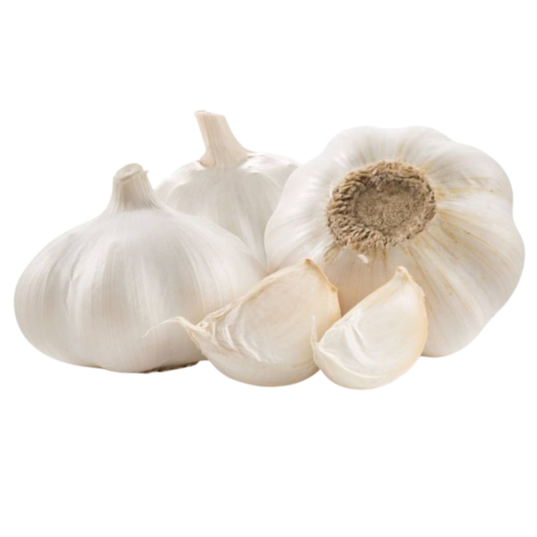  AIL BLANC ESPAGNE CATÉGORIE II 500G