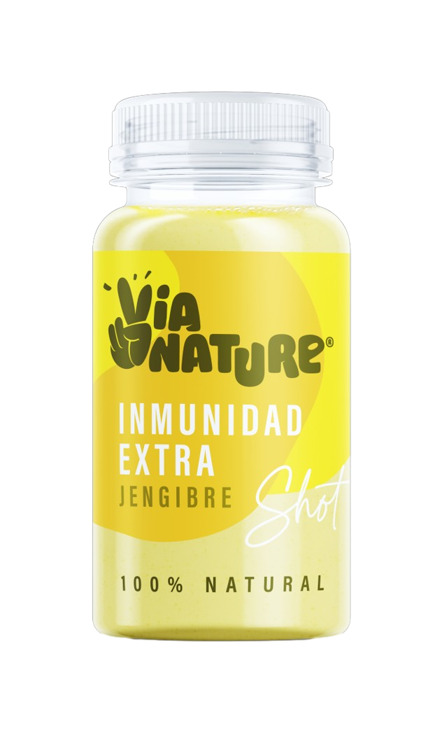 VIA NATURE SHOT JENGIBRE 100ML