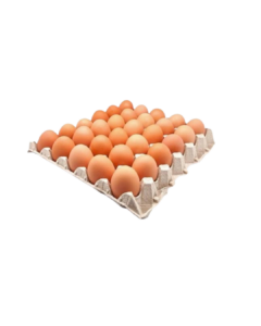  OEUFS SOL FR X30